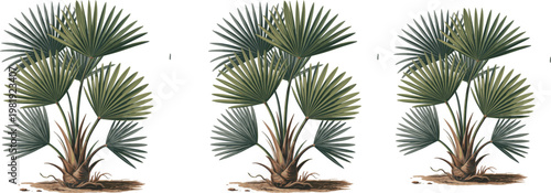 Professional business team working in modern office, diverse colleagues collaborating on project, successful corporate meeting, laptop on desk, sunlight, interior.