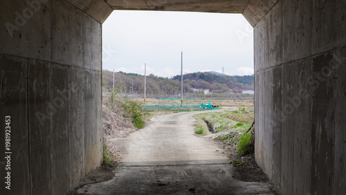 View from Dark Concrete Tunnel Looking Out to Rural Road and Fields