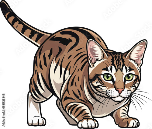 Brazilian Shorthair cat crouched alert focused stance illustration