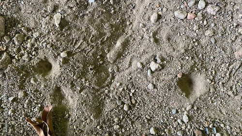 The surface texture of the sandy soil is punctuated with small pebbles, footprints, and natural holes. This rough, natural look is perfect for a backdrop for nature, outdoor, and environmental themes.