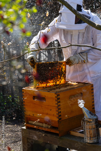 Imker Bienenzüchter