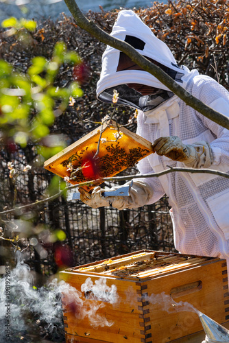 Imker Bienenzüchter