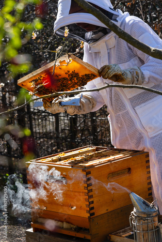 Imker Bienenzüchter