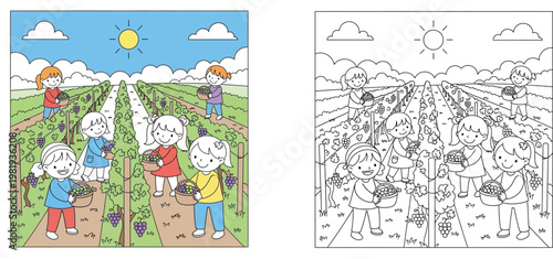Kids Harvesting Grapes in Vineyard Cartoon Illustration with Black and White Line Art Version for Coloring Book Page, Vector Graphic for Educational Children Activity and Farm Life Theme