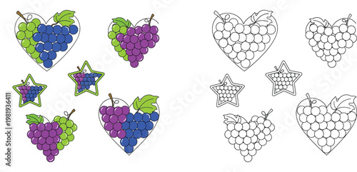 Heart and Star Shaped Grape Bunches Collection with Green Purple and Blue Grapes Color and Black and White Line Art for Coloring Book Page Vector Illustration Icon Set for Kids