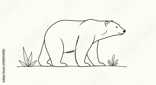 Minimalist polar bear illustration, simple line drawing, arctic wildlife, white background
