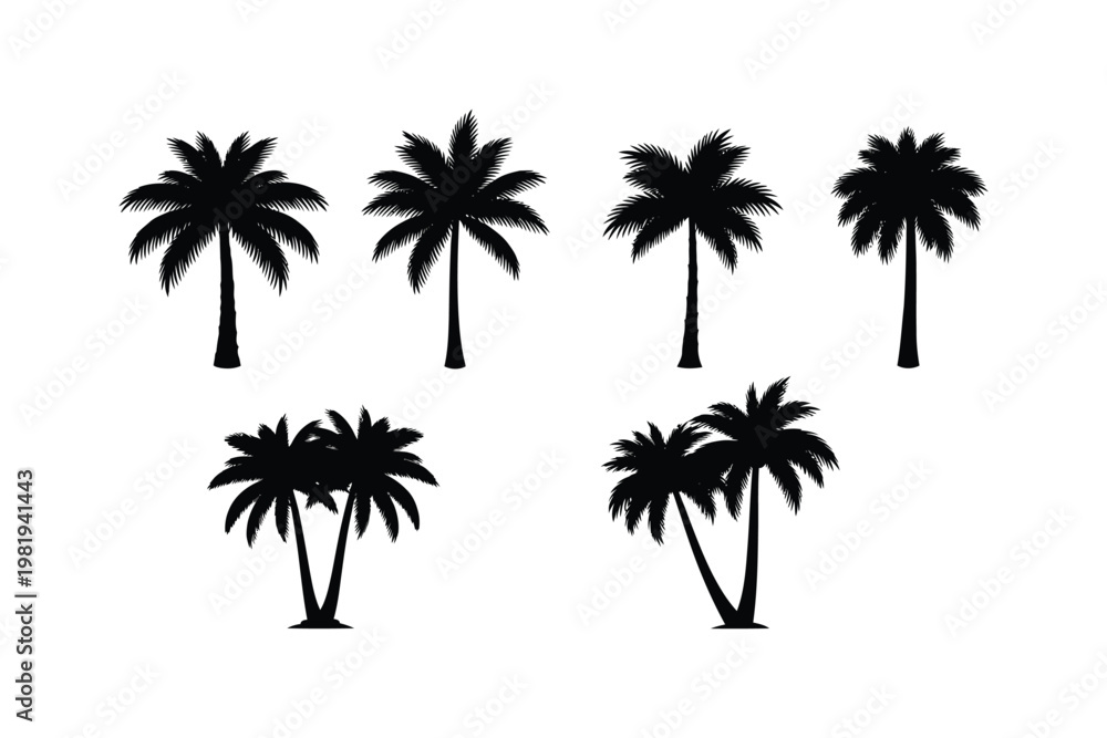Fototapeta premium Silhouette collection of tropical palm trees in various shapes and sizes