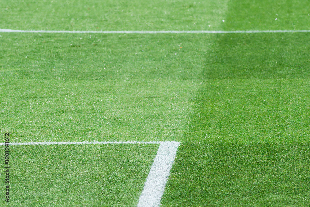 Obraz premium High-Resolution International-Standard Football Pitch with Contrasting Striped Turf for Background Use