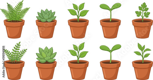 Create a realistic kinds of deferent Young green plant vector art with white background..
