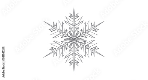 Intricate snowflake crystal pattern, macro photography, white background, winter detail
