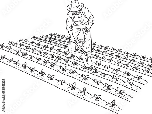 Farmer working in a crop field with a hoe agriculture cultivation production