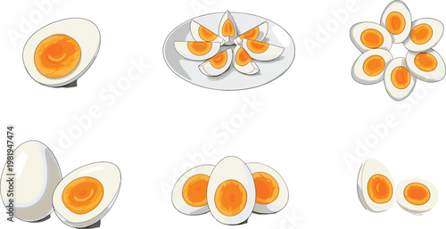Boiled Egg Illustration Set with Whole, Sliced, and Cross-Section Variations for Food, Cooking, and Meal Designs
