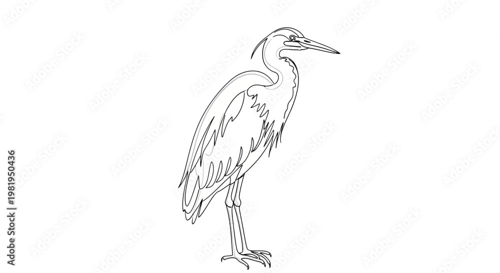 Fototapeta premium Great Blue Heron Standing Minimalist Line Art Vector Illustration