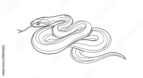 Minimalist snake line art illustration of a coiled serpent with flicking tongue, black and white vector outline of a python or viper for tattoo or coloring page.