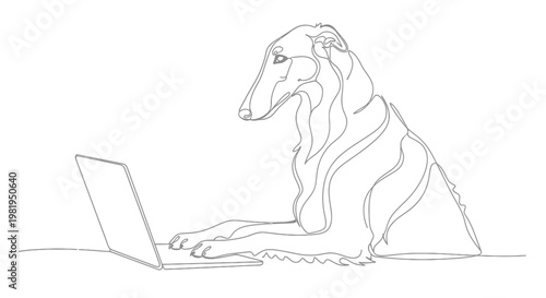 Continuous Line Drawing of a Borzoi Dog Using a Laptop, Minimalist Russian Wolfhound Working on Computer Illustration