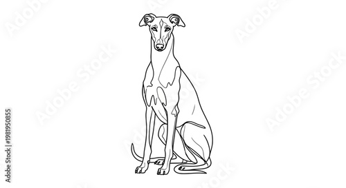 Minimalist Line Art Vector Illustration of a Sitting Greyhound Sighthound Dog