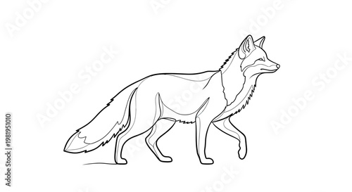 Minimalist Line Art Illustration of a Fox Walking, Wild Animal Vector Drawing on White Background