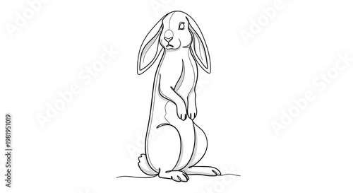 Continuous Line Drawing of a Standing Rabbit, Minimalist Hare Vector Illustration on White Background