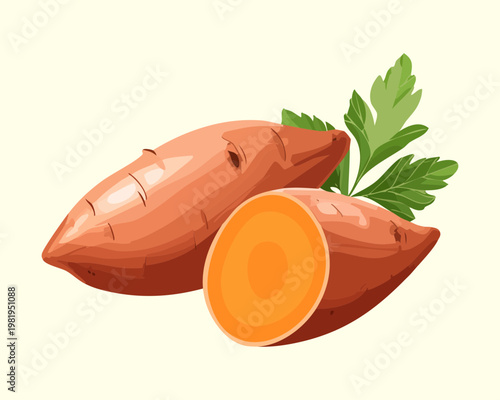 Organic orange sweet potato slices with green leaf garnish for healthy cooking and nutrition graphic design - Vector Illustration