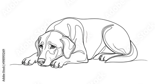 Continuous Line Drawing of a Sad Labrador Retriever Dog Lying Down