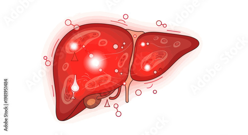 Human Liver Anatomy Illustration with Glowing Cells and Molecular Network