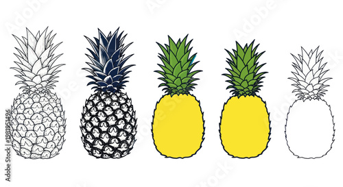 Pineapple Variety: From Sketch to Color, a Tropical Fruit Collection