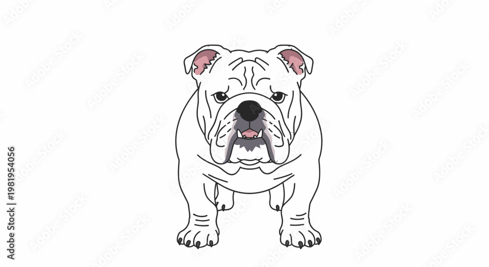 Obraz premium White English Bulldog illustration, front view, cartoon style, isolated on white background, friendly pet portrait