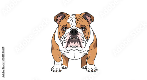 Charming cartoon bulldog illustration standing front view, a beloved domestic pet with distinctive brown and white fur, ideal for animal and pet-themed designs.