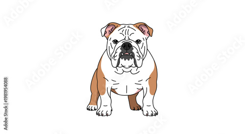 Cute cartoon bulldog illustration, a friendly domestic pet dog with brown and white fur, sitting front view on a white background, ideal for various design projects.