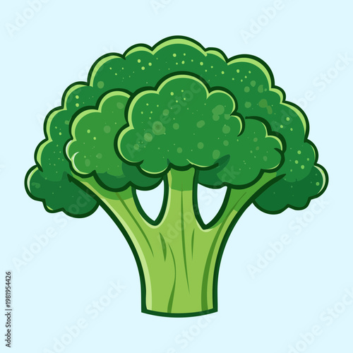 Fresh green broccoli head for healthy vegetable diet and organic nutrition in various culinary recipes and cooking - Vector Illustration