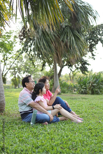 Low Angle with Palm Trees and Sky