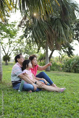 Low Angle with Palm Trees and Sky