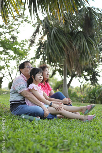 Low Angle with Palm Trees and Sky