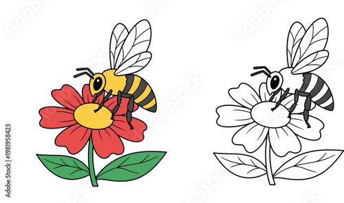 Cute Cartoon Honey Bee on Red Flower Illustration with Black and White Line Art Coloring Page Version for Kids Education, Nature and Spring Theme Vector Design