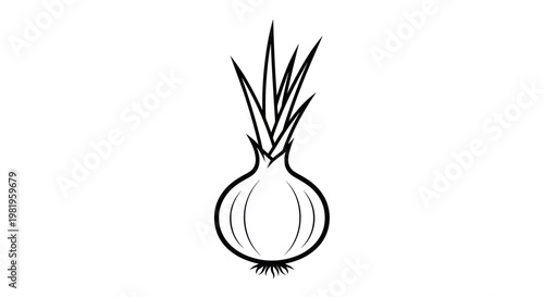 Simple line drawing of an onion
