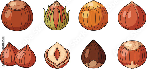 Hazelnut Illustration Set with Whole, Cracked, and Shelled Variations for Nut, Food, and Snack Designs