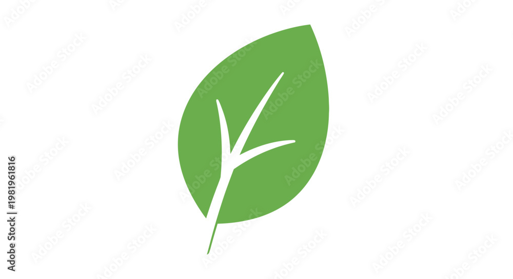 Fototapeta premium Green leaf vector illustration isolated on white background