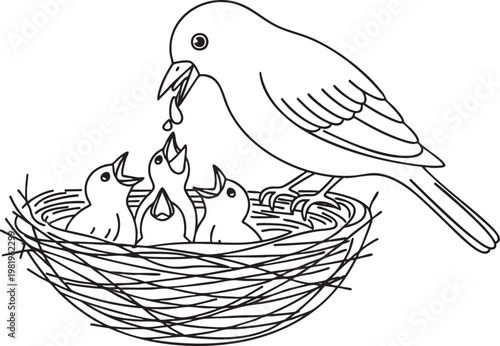 Bird feeding hungry chicks in a nest line art illustration with wildlife