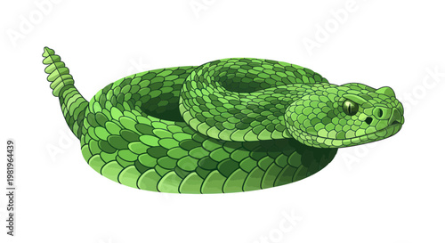Vibrant Green Rattlesnake Coiled, Isolated on White Background