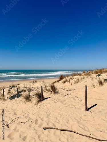 sand dunes on the beach, France 