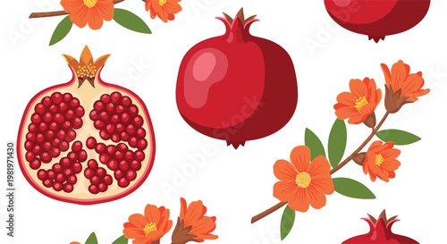 Pomegranate Fruit and Blossom Vector Set with Red Seeds and Flowers for Healthy Lifestyle and Nutrition Designs