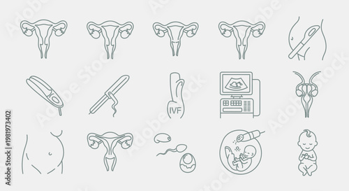 Medical icons uterus ivf pregnancy and fetal development illustrations