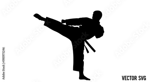 Martial Arts Silhouette: Karate Fighter Performing Side Kick