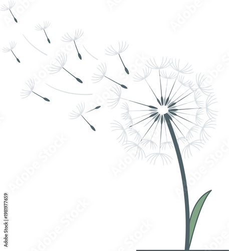 A delicate white dandelion with a green stem and leaf, releasing its seeds into the wind. The flying seeds symbolize wishes, freedom, hope, and new beginnings in a minimalist style.