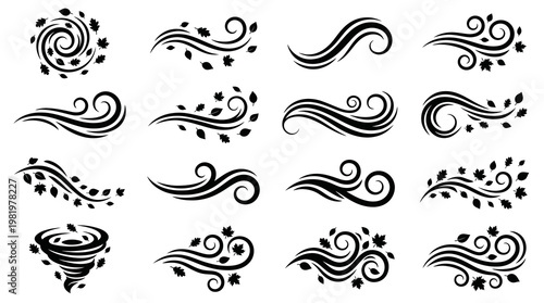 Black  White Stylized Wind  Autumn Leaf Swirls Collection - Nature  Weather Glyph Elements
