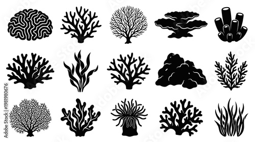 Ocean Marine Life Coral Reef, Seaweed, and Anemone Glyphs Vector Icon Set