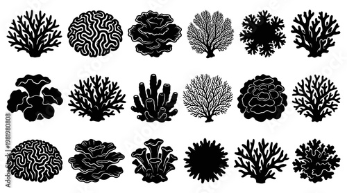 Underwater Coral Reef Black and White Silhouettes Vector Art Set