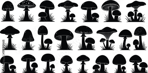 Collection of Various Mushroom Silhouettes with Grass for Nature, Botanical, and Organic Themes in Websites and Digital Designs