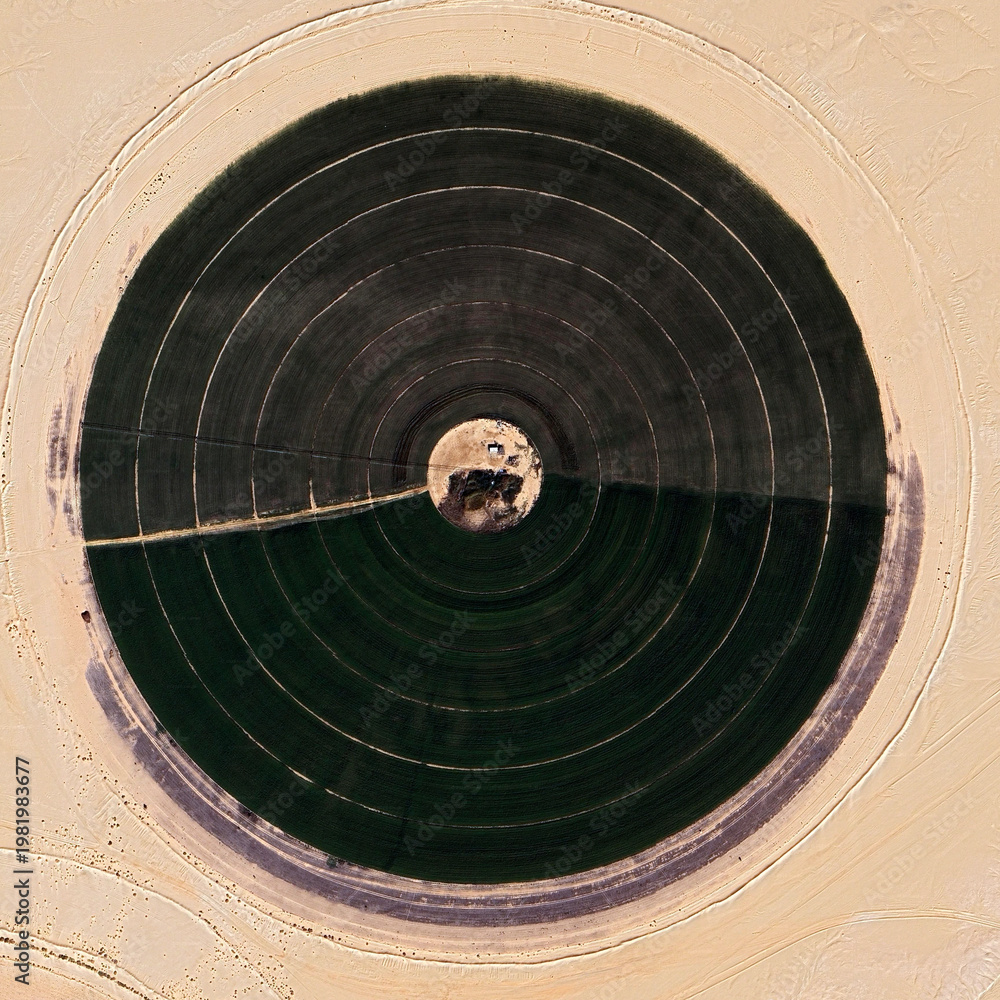 Fototapeta premium Aerial top view of center-pivot irrigation circle in a sandy desert. Green agricultural field creates a striking geometric contrast with the arid dunes. Sustainable farming in extreme conditions.