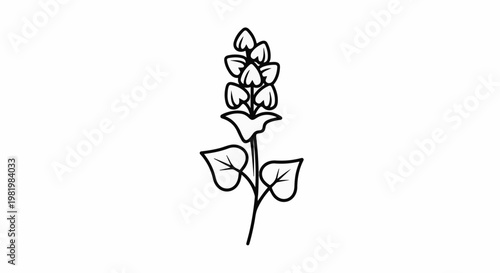 Stylized outline of a flowering plant stem with leaves and buds